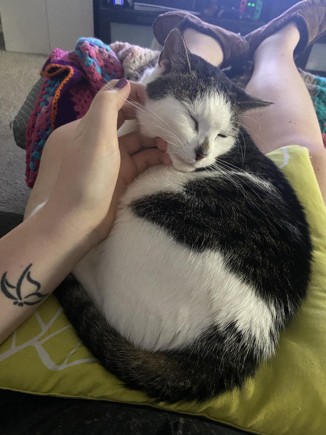 No description available.