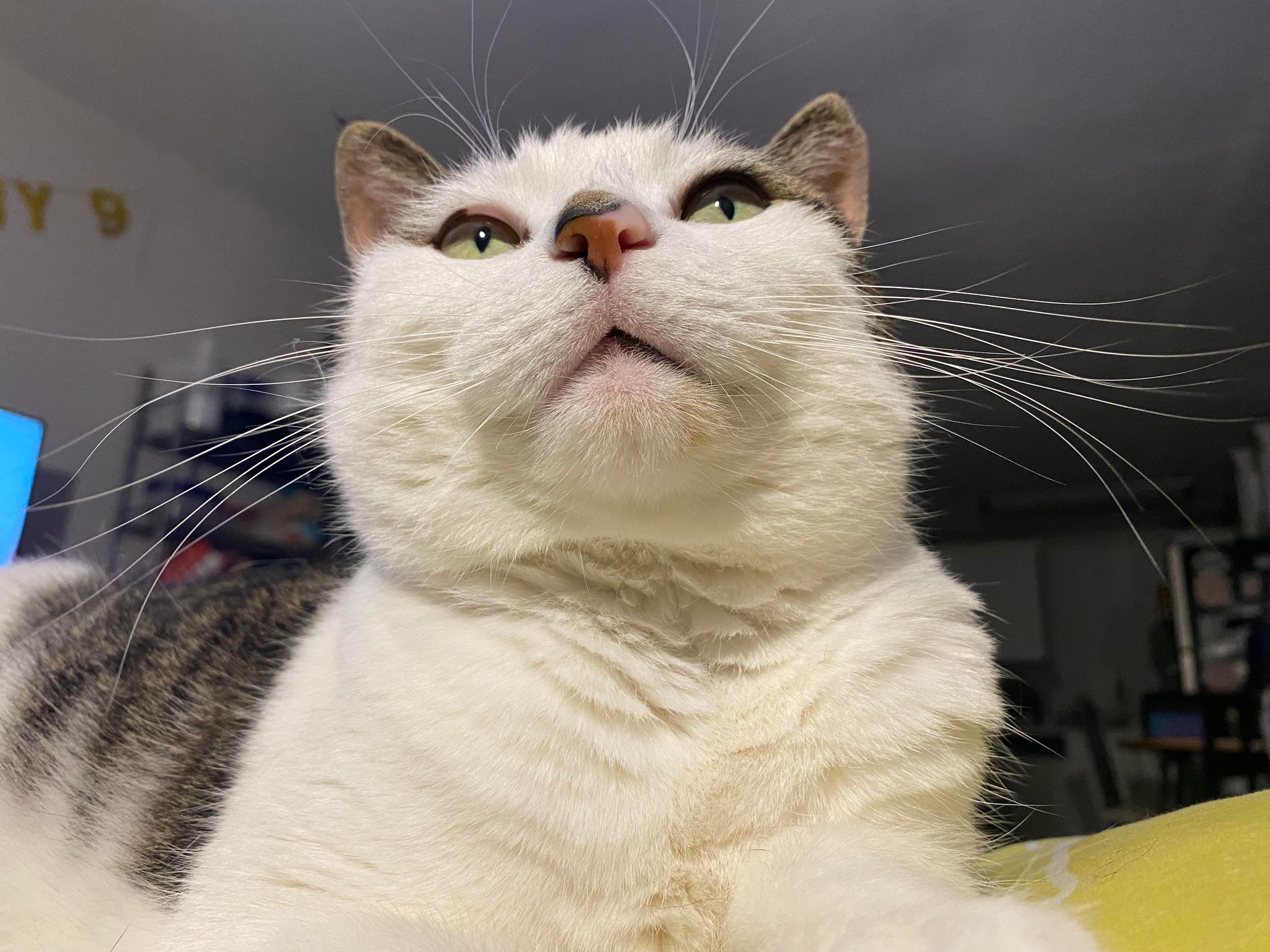 No description available.