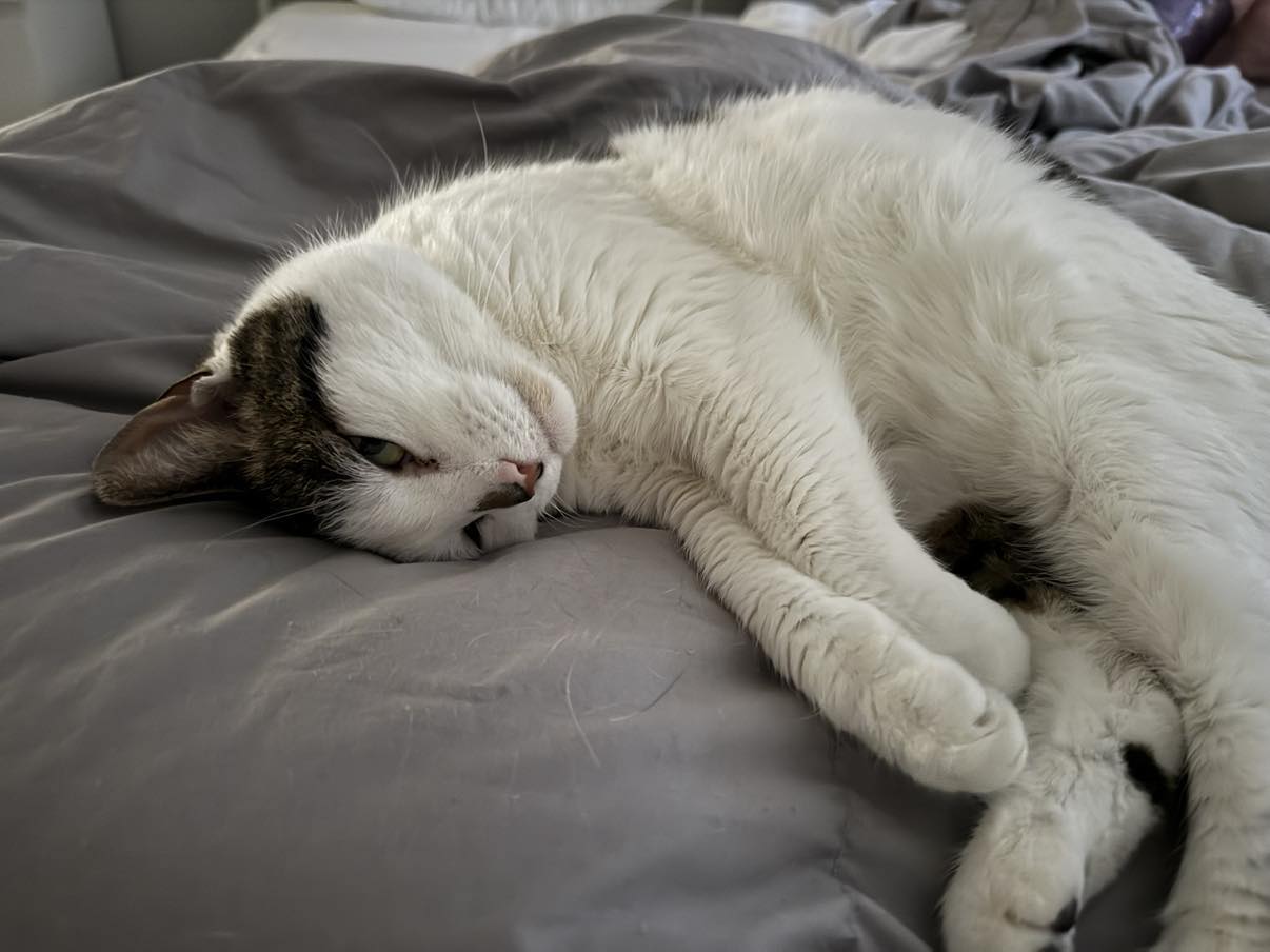 No description available.