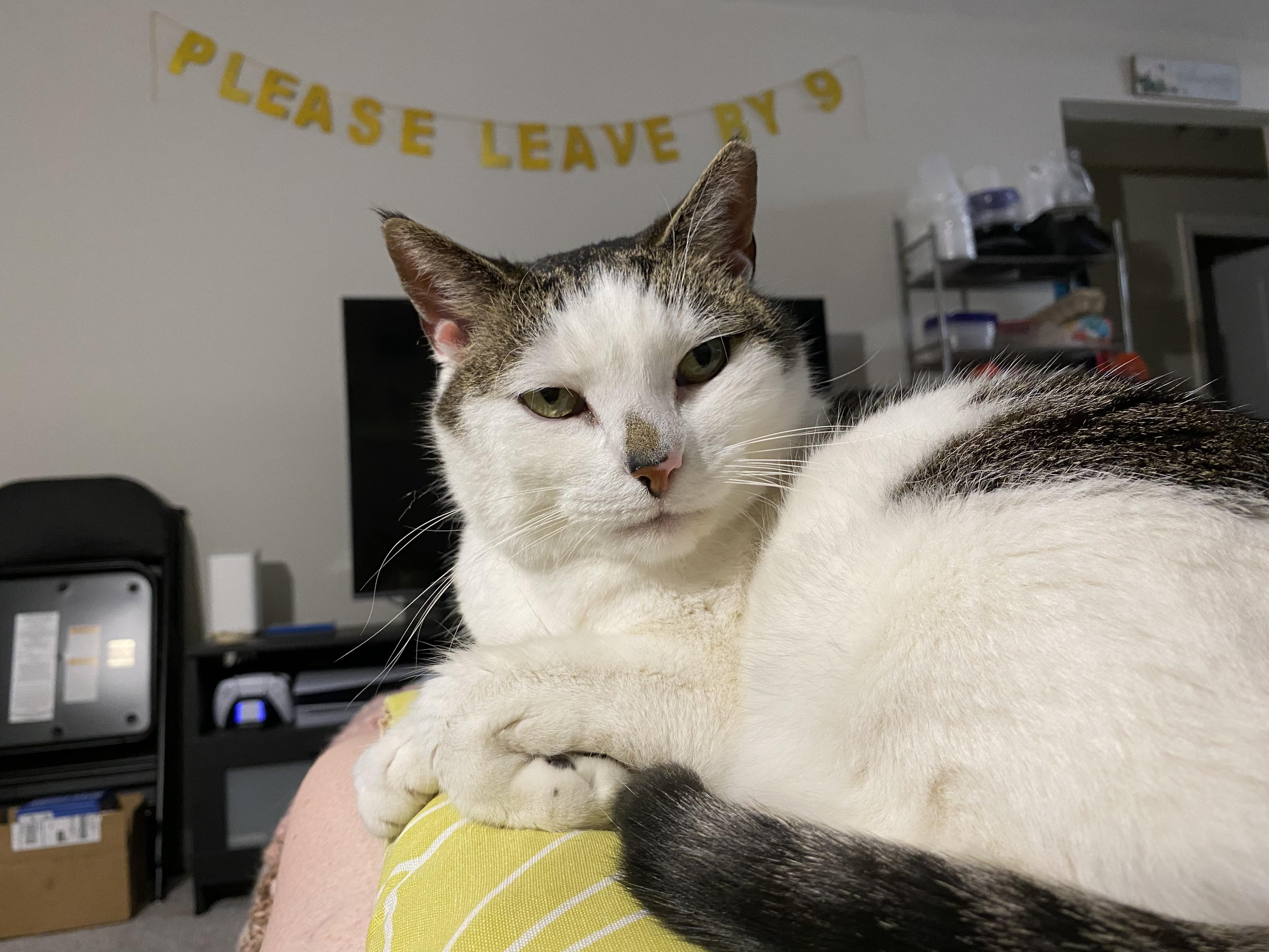 No description available.