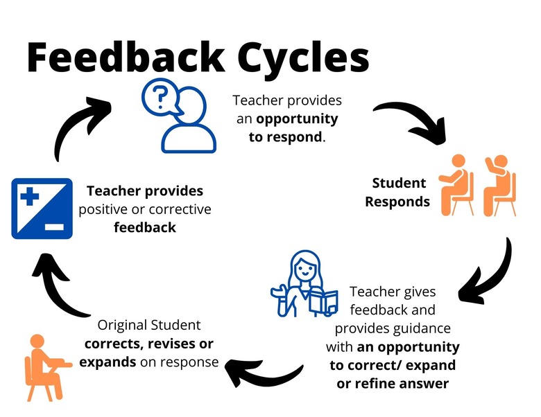 Feedback and Feedback Cycles