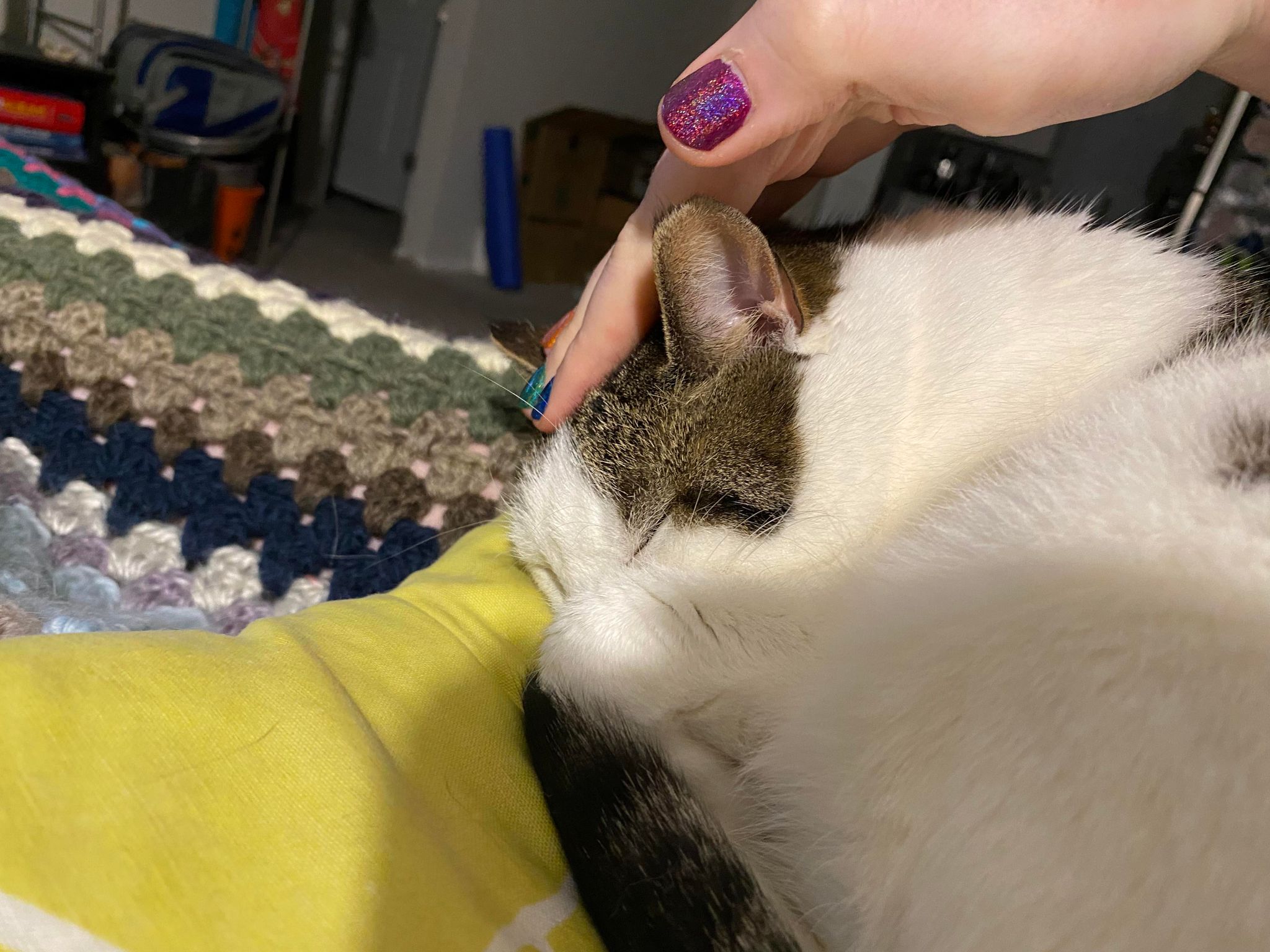 No description available.