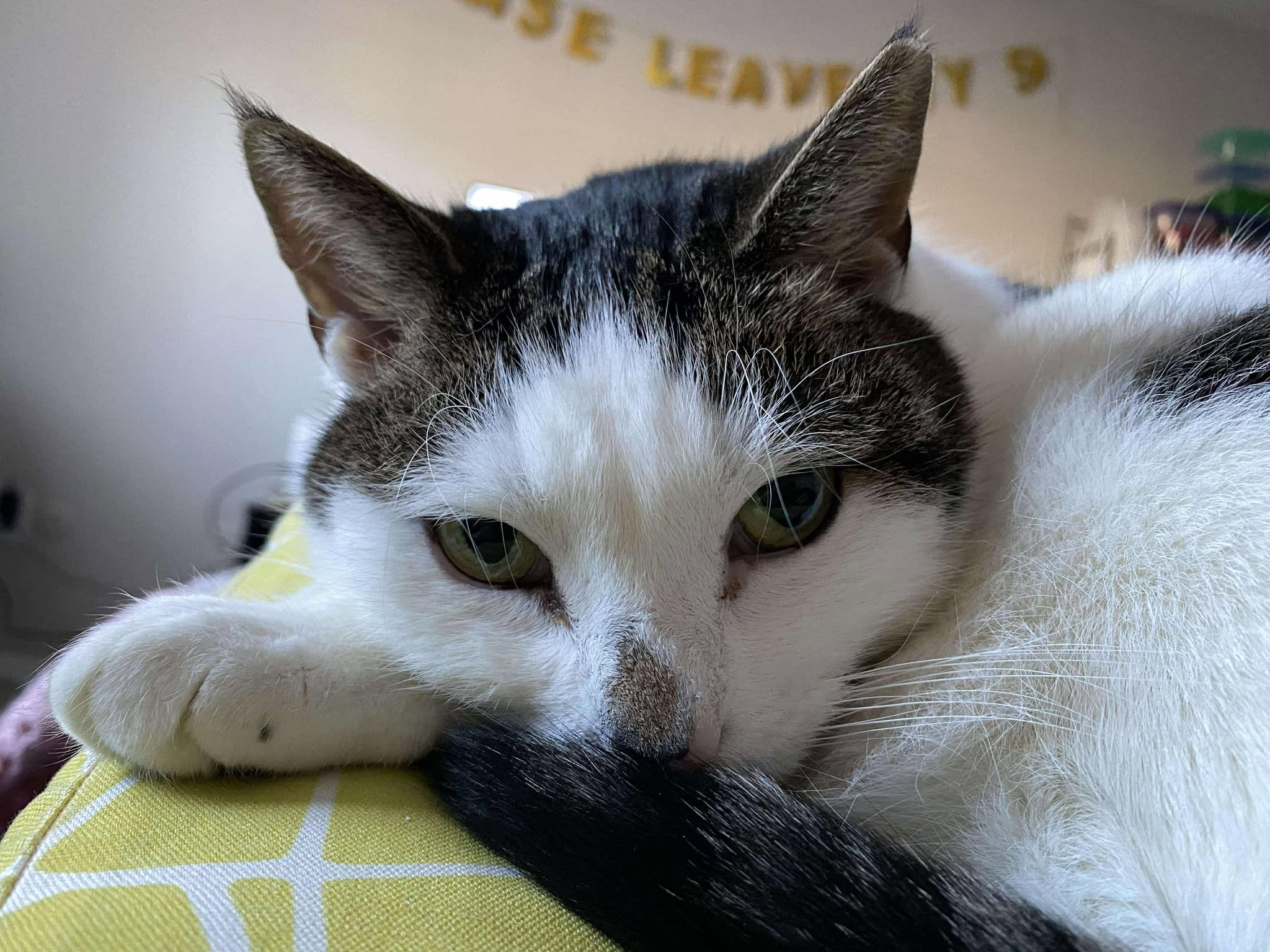 No description available.