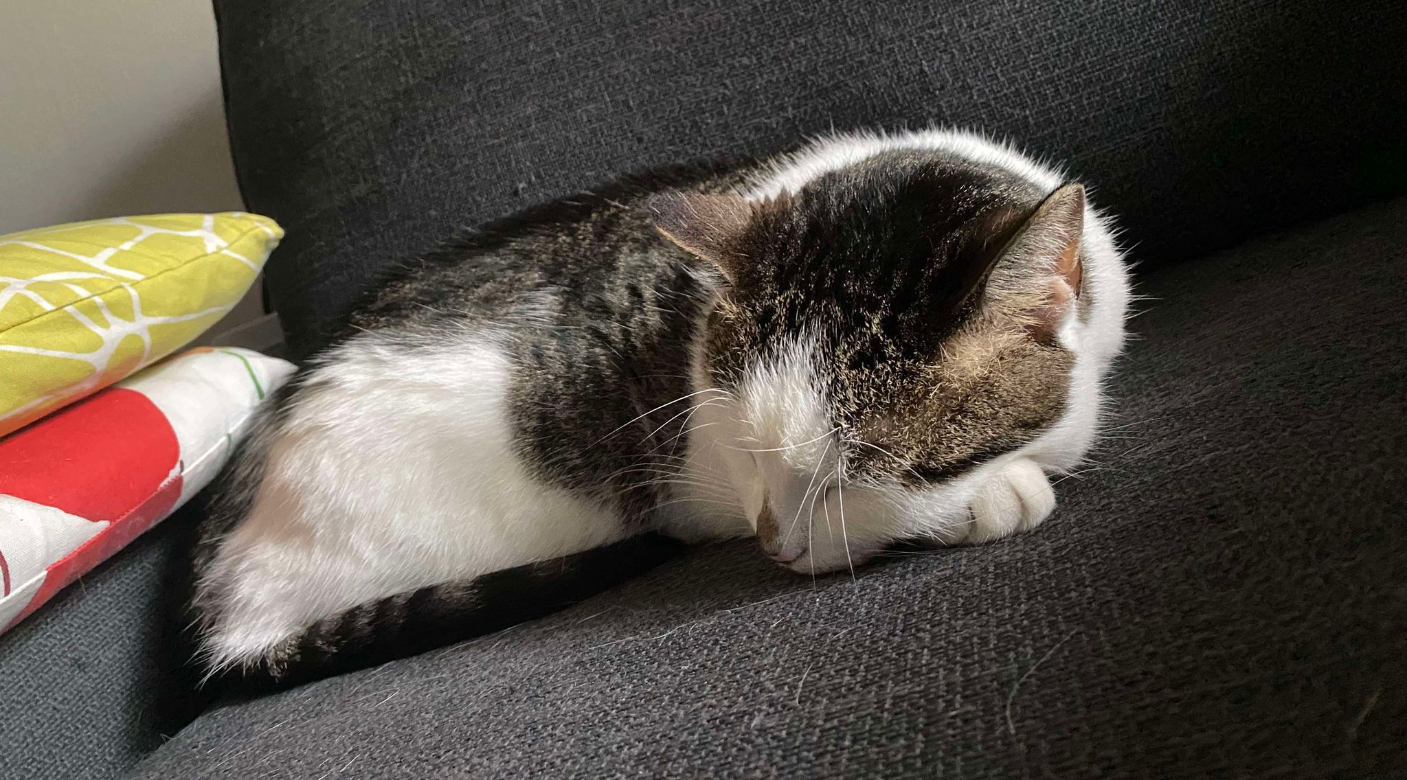 No description available.