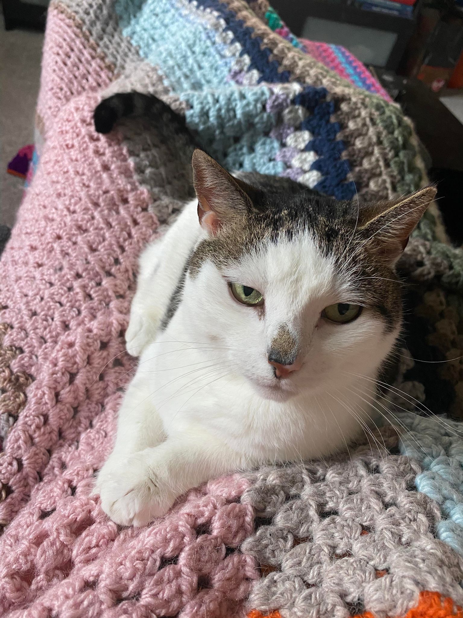 No description available.