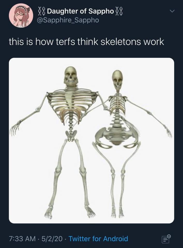 r/traaaaaaannnnnnnnnns - a couple of skeletons standing together