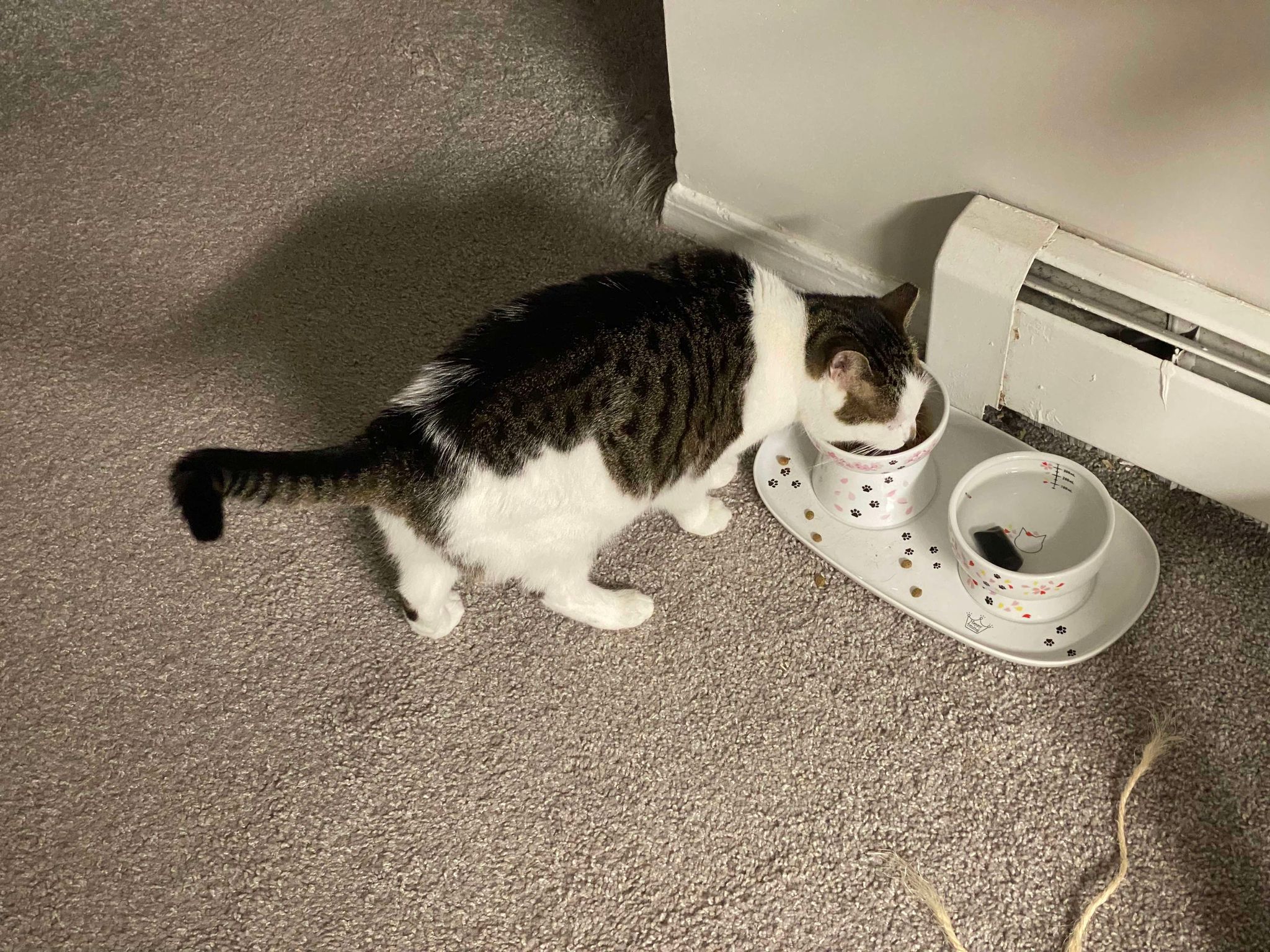 No description available.