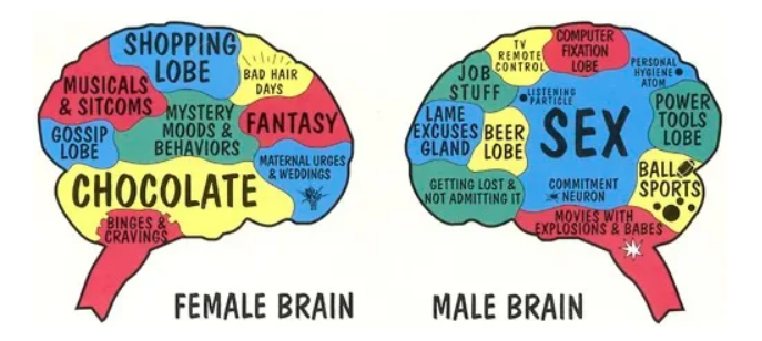 Stop Looking For The Trans Brain
