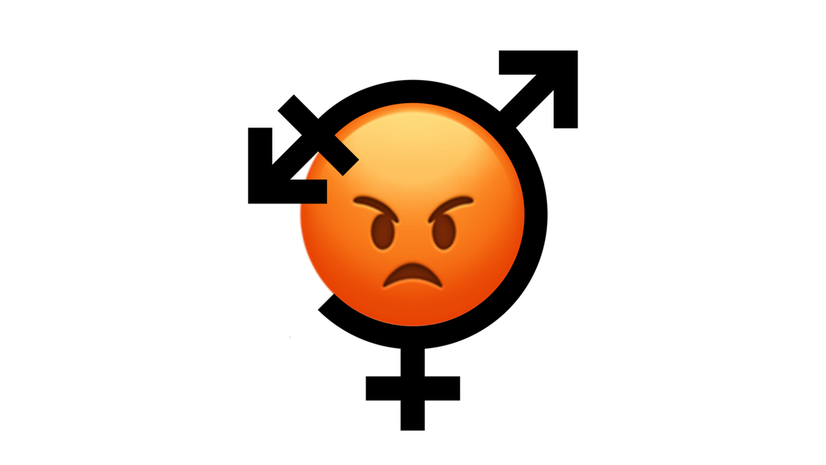 We're Not Mad At Detransitioners