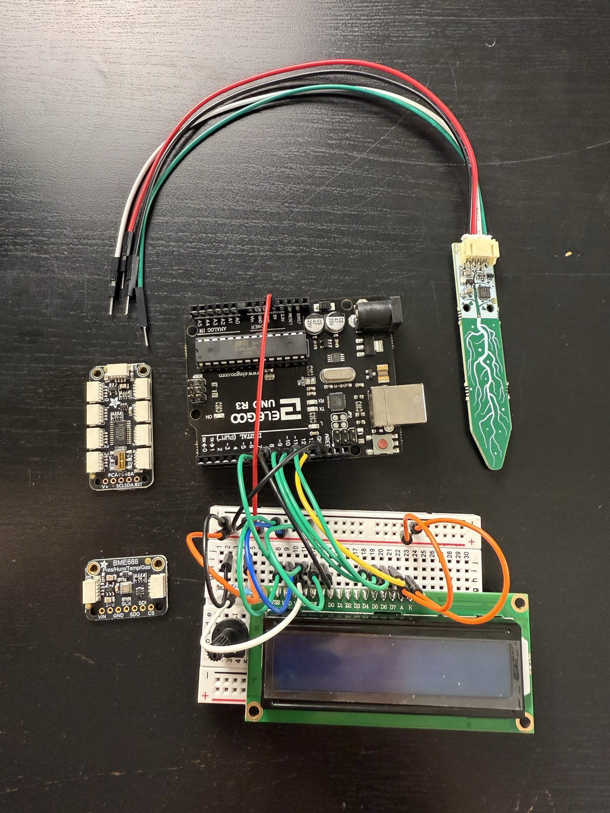 How I'm Staying Sane Right Now