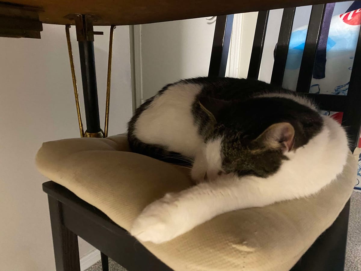 The Last of the Election Takes