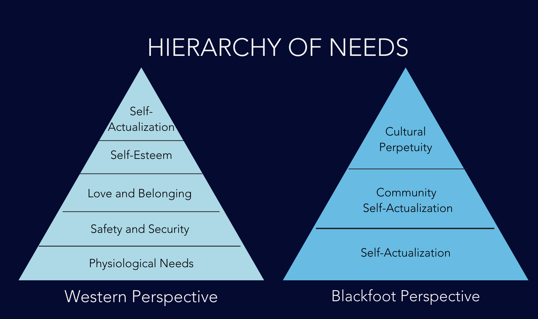 The Search for Trans Meaning