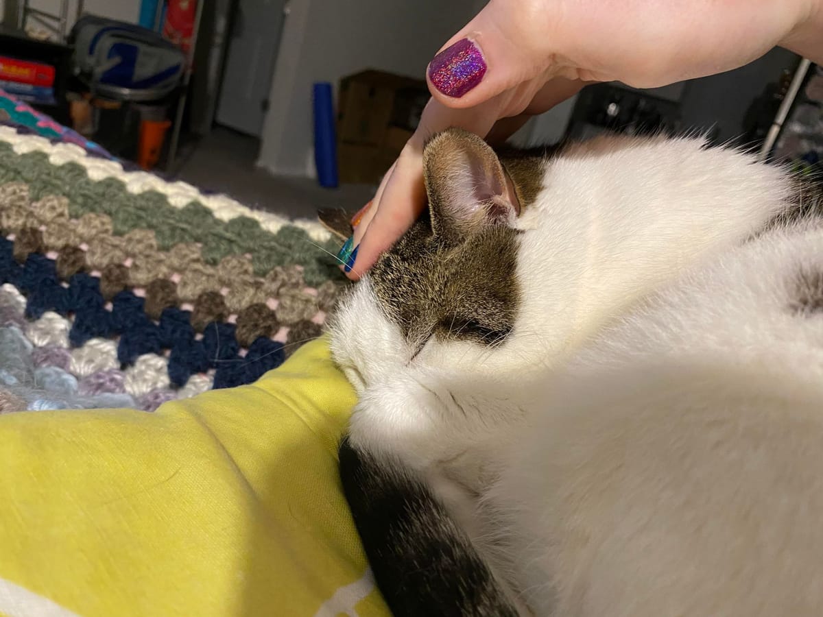 We'll Be Back Shortly...