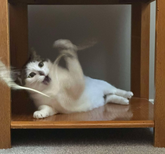 Anna's Favorite Things 2024