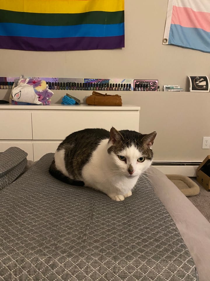 I've Never Heard of James Somerton