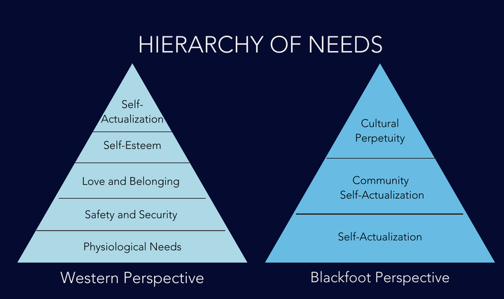 The Search for Trans Meaning