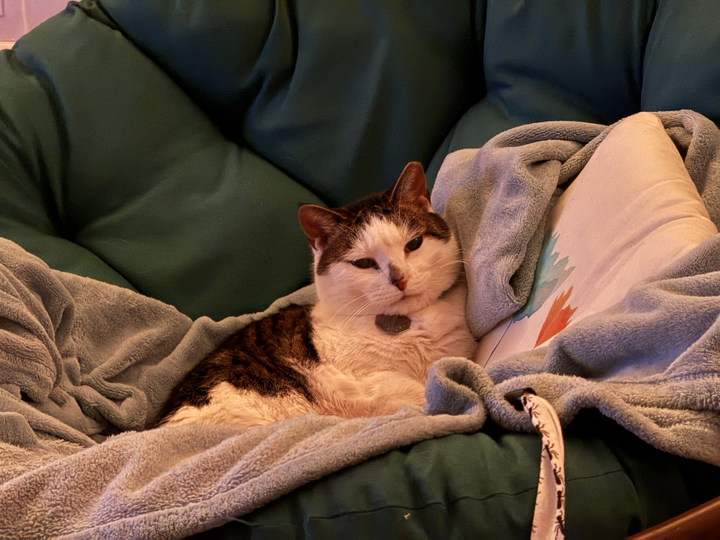 Nothing to add on my end!