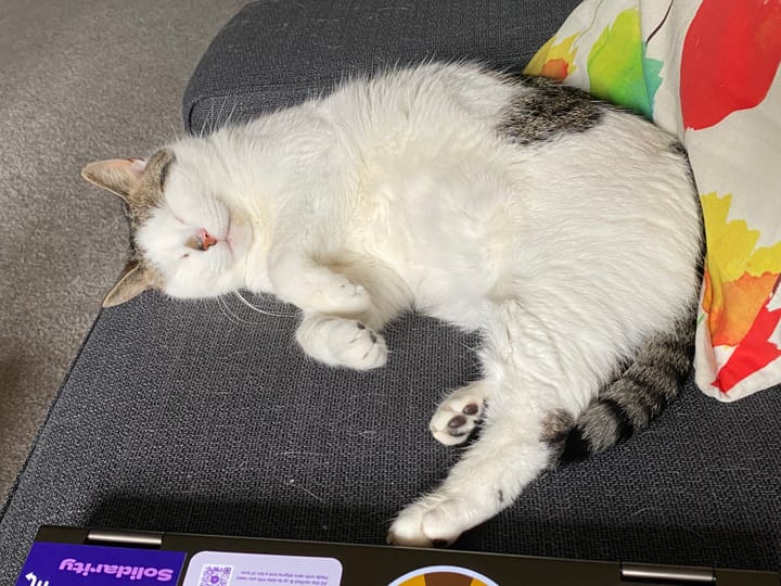 Trans People Are Sacred (And That's Why They're Under Attack)