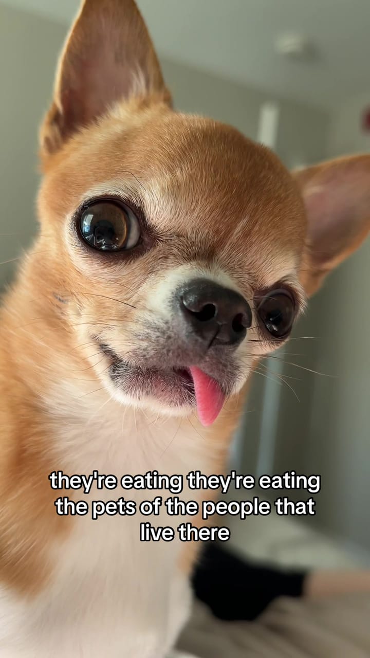 How (Not) To Make Fun of Bigots