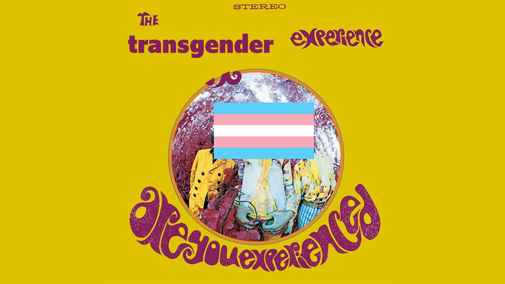 The Trans Content 80-20 Rule - Reissue