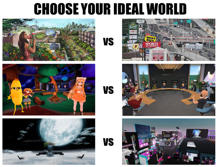 The Metaverse vs The Metaverse™